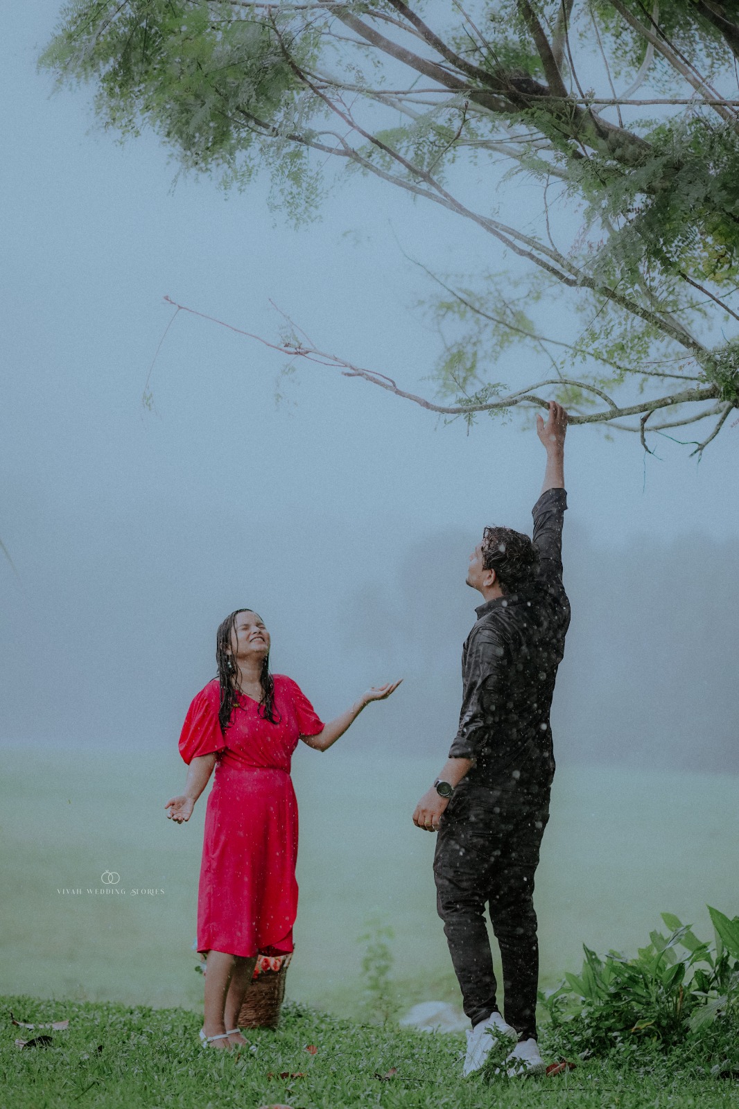 a forest after an apocalypse